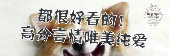 都很好看的！高分言情唯美純愛